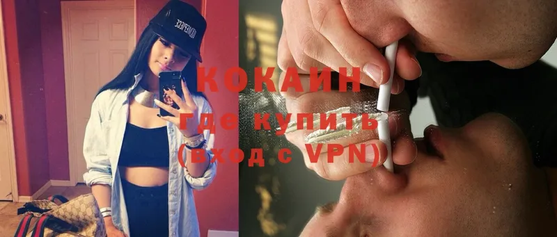 как найти закладки  Грозный  Cocaine FishScale 