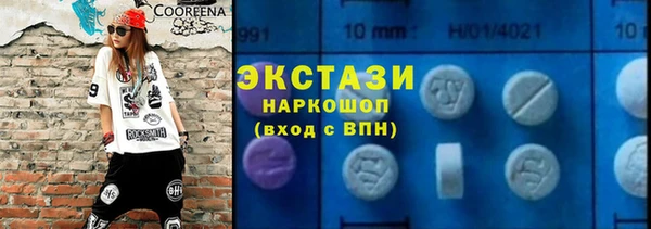 СК Новозыбков