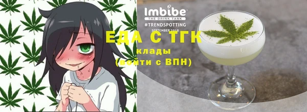 СК Новозыбков