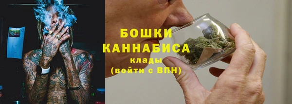 СК Новозыбков
