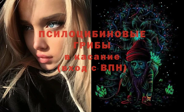 mdpv Новодвинск