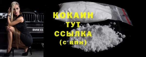 СК Новозыбков