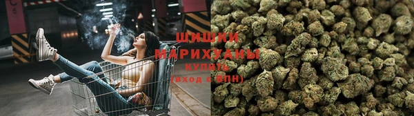 PSILOCYBIN Нефтегорск