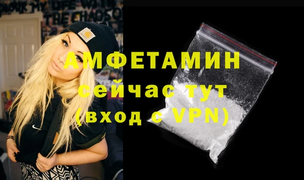 СК Новозыбков