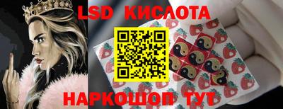 PSILOCYBIN Бугуруслан