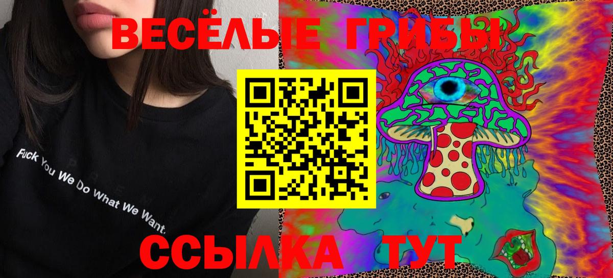Псилоцибиновые грибы ЛСД Грозный