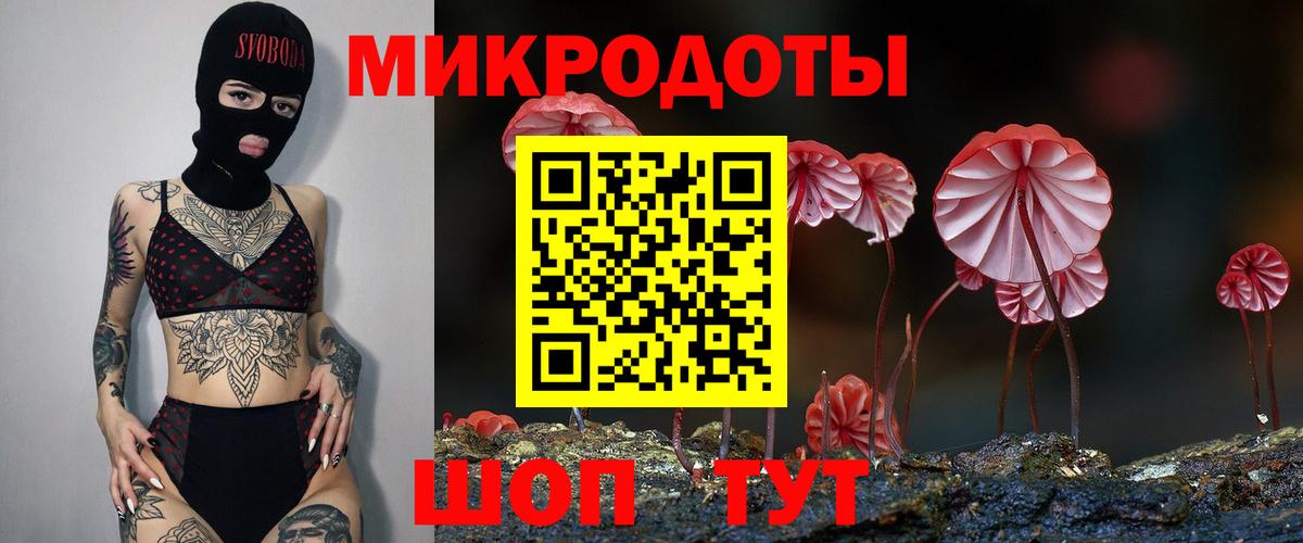 Псилоцибиновые грибы мицелий  купить наркотик  Грозный  Вход с VPN 