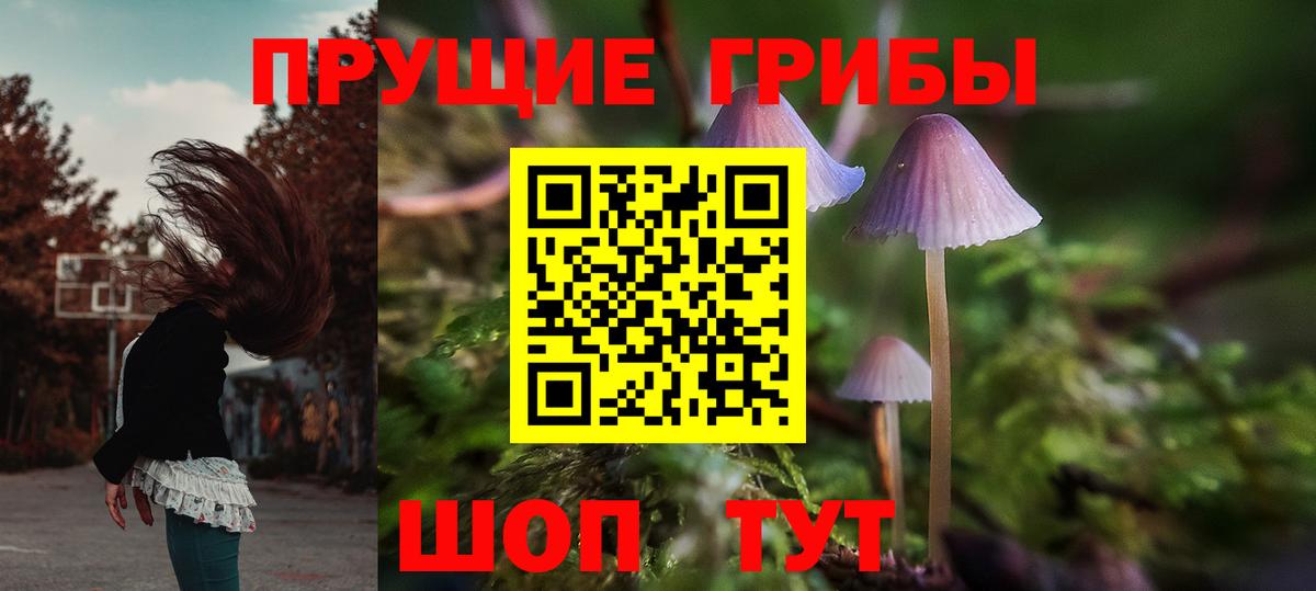 Галлюциногенные грибы Psilocybine cubensis Грозный